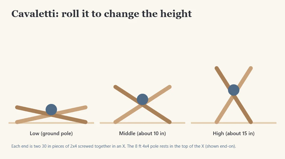 Diagram showing cavaletti heights